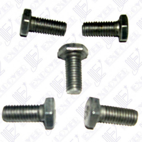 0806-02  VIS PIGNON AAC