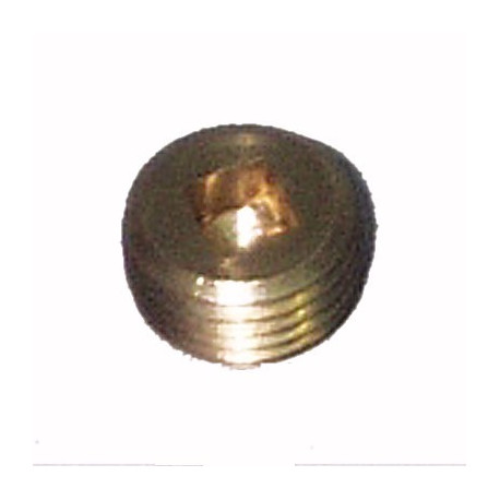 0163-06  BOUCHON D HUILE