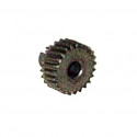 2648-81  PIGNON 19 DENTS