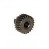 2648-81  PIGNON 19 DENTS
