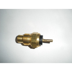 0242-06  THERMISTANCE CULASSE